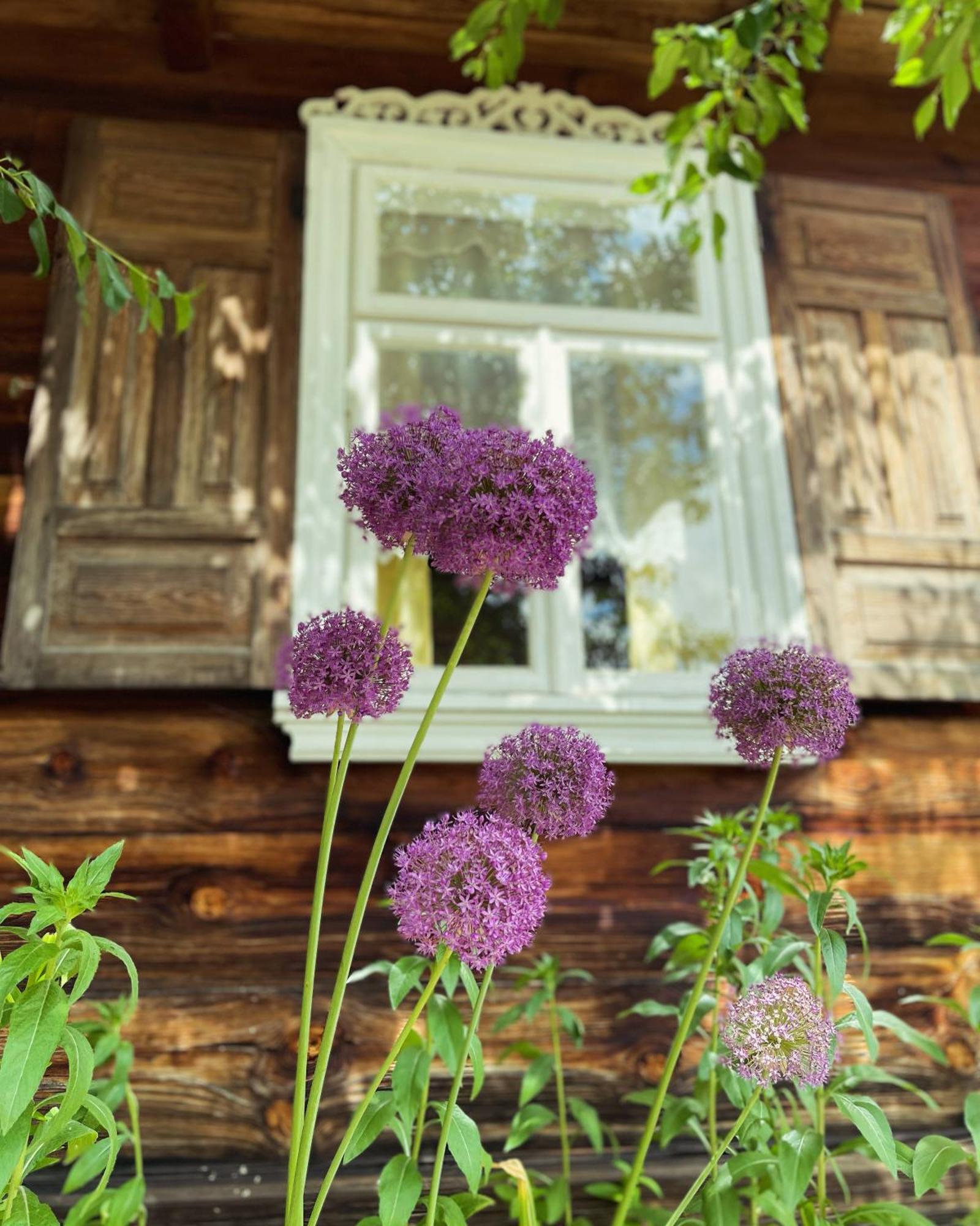Inna Bajka Nowy Berezów Exterior foto